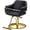 2-Black, variant on UBesGoo Barber Chair, 360° Swivel Salon Styling Chair, Heavy Duty Hydraulic Pump, Black Gold Home Beauty Spa Equipment