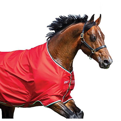 Horseware Amigo Hero ACY Lite Turnout Sheet 0g with Disc Front Surefit