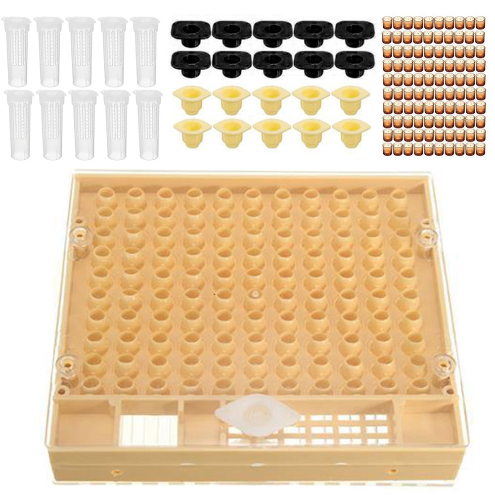 Complete queen rearing cup kit system bee beekeep catcher box & 100 cell cups_es 