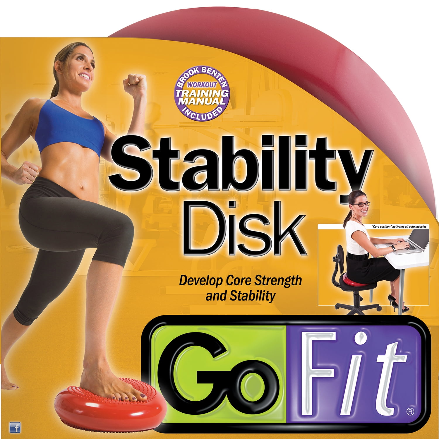 GoFit 13-Inch Core Balance Disk with Inflation Needle, GF-CDISK