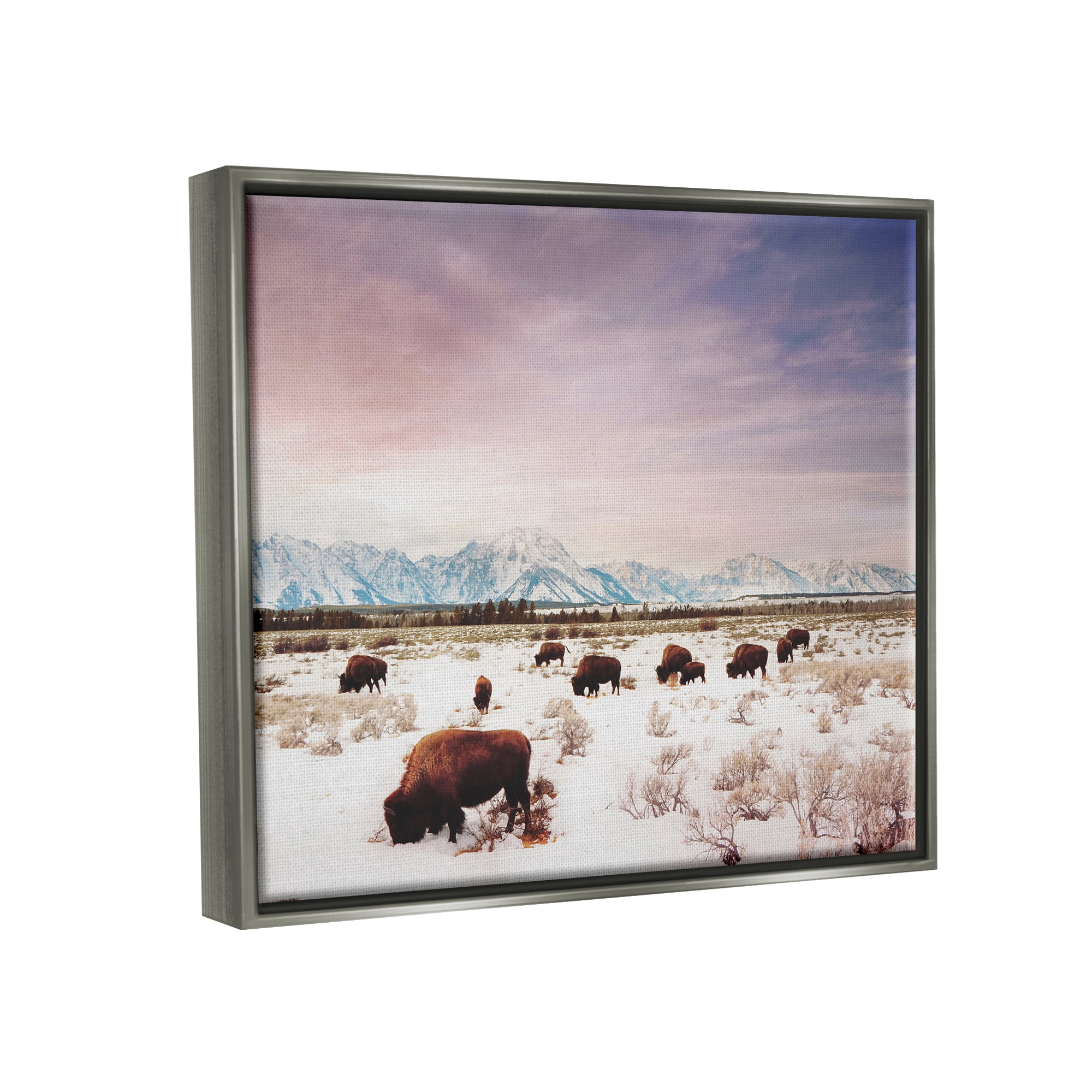 Stupell Industries Bison Desert Mountains Scene Animals & Insects Photography Gray Floater Framed Art Print Wall Art, 31 x 25