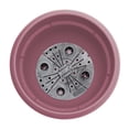 thumbnail image 6 of Bloem Ariana 8" Self-Watering Plastic Planter - Rolled Rim Indoor/Outdoor Garden Pot, Dusty Rose, 6 of 8