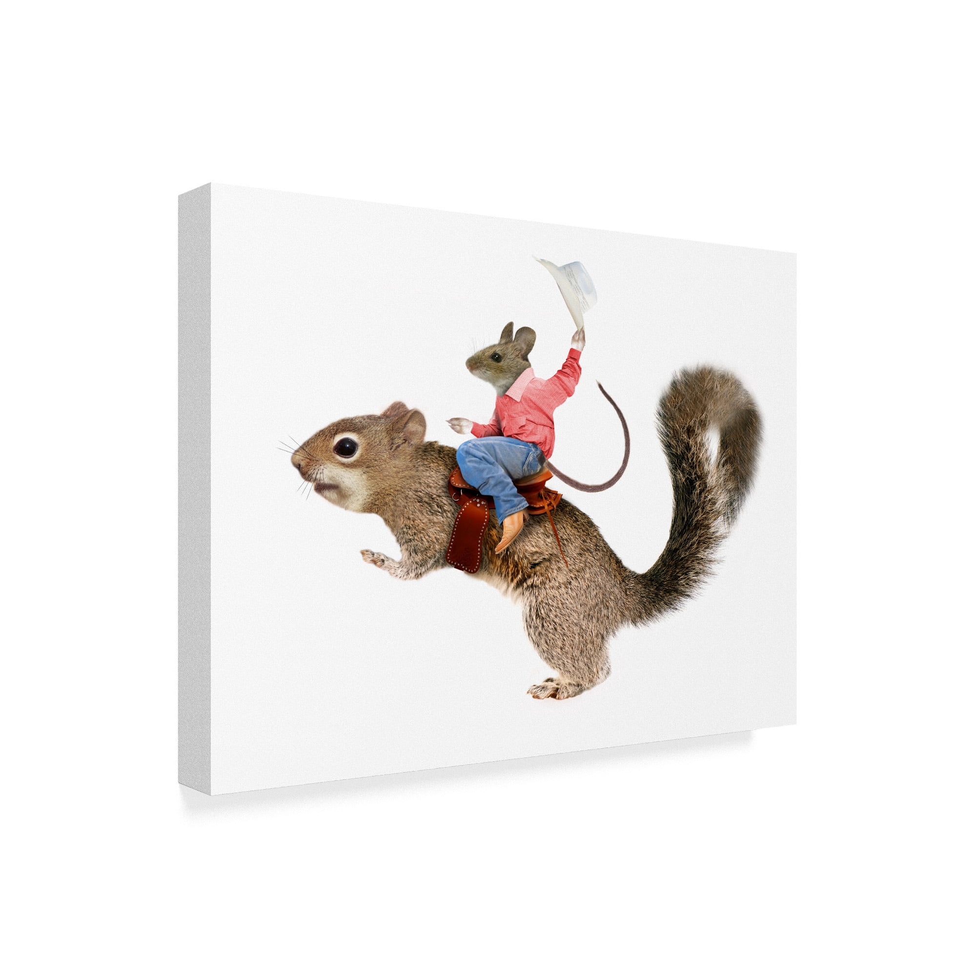 Trademark Fine Art 'Squirrel Rodeo' Canvas Art by J Hovenstine Studios