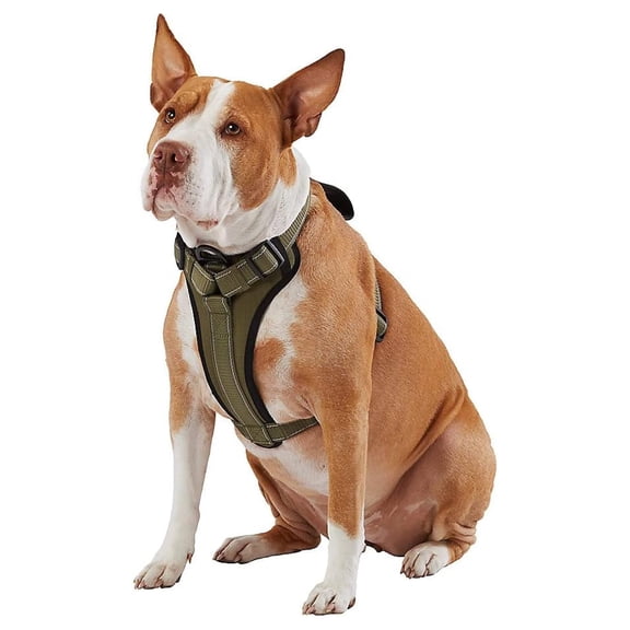 Max Ultra Durable Neoprene Padded Chest Plate Dog Harness Offered by The Barker Company (Green, Large)