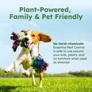 BugMD Pest Control Essential Oil Concentrate 4oz (4 Units) - Quick Kills Flies, Ants, Fleas, Ticks, Roaches, Mosquitoes
