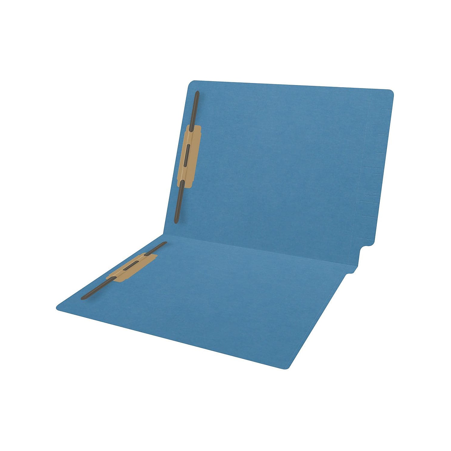 Medical Arts Press Reinforced End Tab File Folder Straight Cut Letter-Size Blue 50/Box (S-01602-BLU)