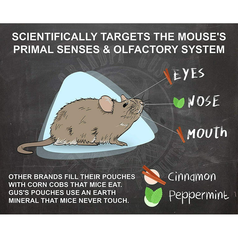 Drive Mice Out Using Rodents Away™ Odor Free Mouse Repellent 