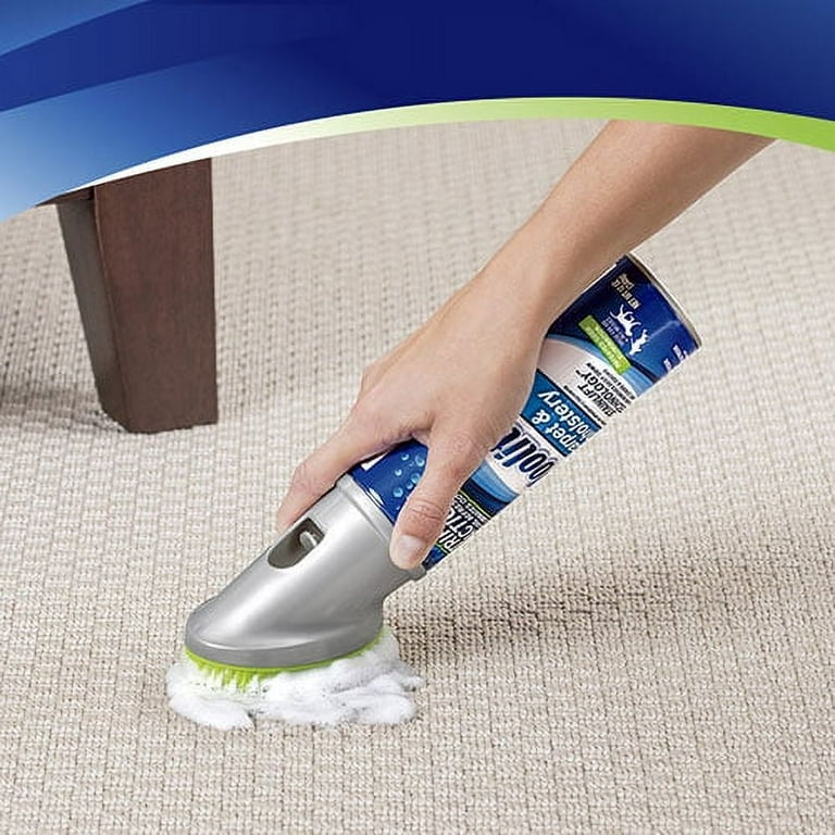 Woolite Carpet Cleaner Review 