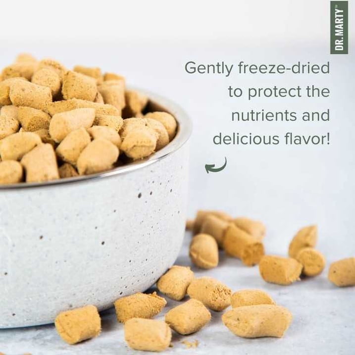 Dr. Marty Nature's Feast Cat Food, Freeze Dried Raw Cat Food with 87% Real Meat for Healthy Skin, Digestion & Vitality, 5.5 oz (Trial Size)