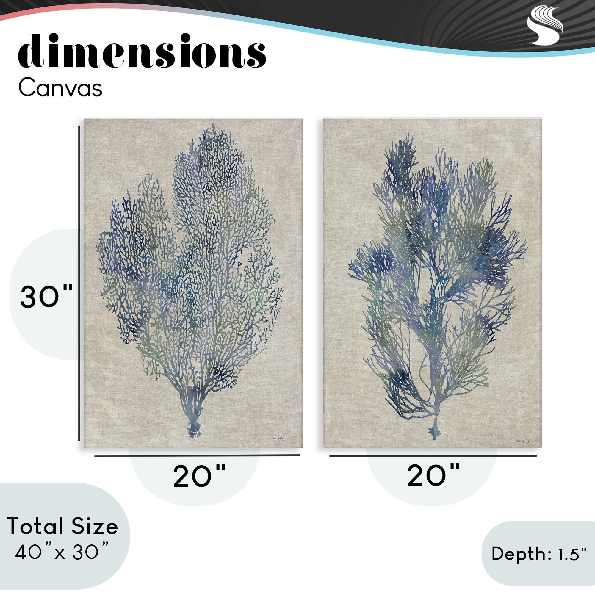 Stupell Industries Fan Coral Study in Blues 2 Piece Canvas Wall Art Set, design by Amber Sterling