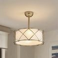 thumbnail image 3 of Sofucor 20" Gold Caged Ceiling Fan with Light, Fabric Shade, Quiet DC Motor, 6-Speed Remote Control, Reversible, Timer, 2 Downrods, E26 Base (6 Bulbs Included), 3 of 10