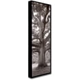 thumbnail image 2 of Trademark Fine Art "Hampton Field Tree II" Canvas Art by Alan Blaustein, 2 of 3