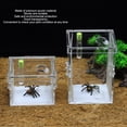 thumbnail image 4 of Caja De Cría De Insectos Para Reptiles, Mini Recinto Acrílico Hidratante Duradero Para Terrario De Reptiles Para Mantis Para Grillo Para Reptiles Pequeños, 4 of 7