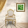 thumbnail image 3 of DeNardo, Laura 26x26 Gold Ornate Wood Framed with Double Matting Museum Art Print Titled - Cropped Garden Leaves II, 3 of 4