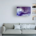 thumbnail image 4 of Canvas Wall Art - Carola Onkamo 'Passage Into The Unknown' Wall Art for Living Room, Bedroom, or Office D?cor by Trademark Fine Art - 47 x 30 Inches, 4 of 4