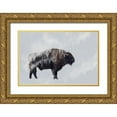 thumbnail image 1 of Beata, Angyalosi 14x11 Gold Ornate Wood Framed with Double Matting Museum Art Print Titled - Bison - Double Exposure, 1 of 4