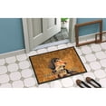 thumbnail image 2 of Carolines Treasures LH9460MAT Longhair Chocolate Dachshund Wipe your Paws Doormat 18x27 27"L x 18"W multicolor, 2 of 4