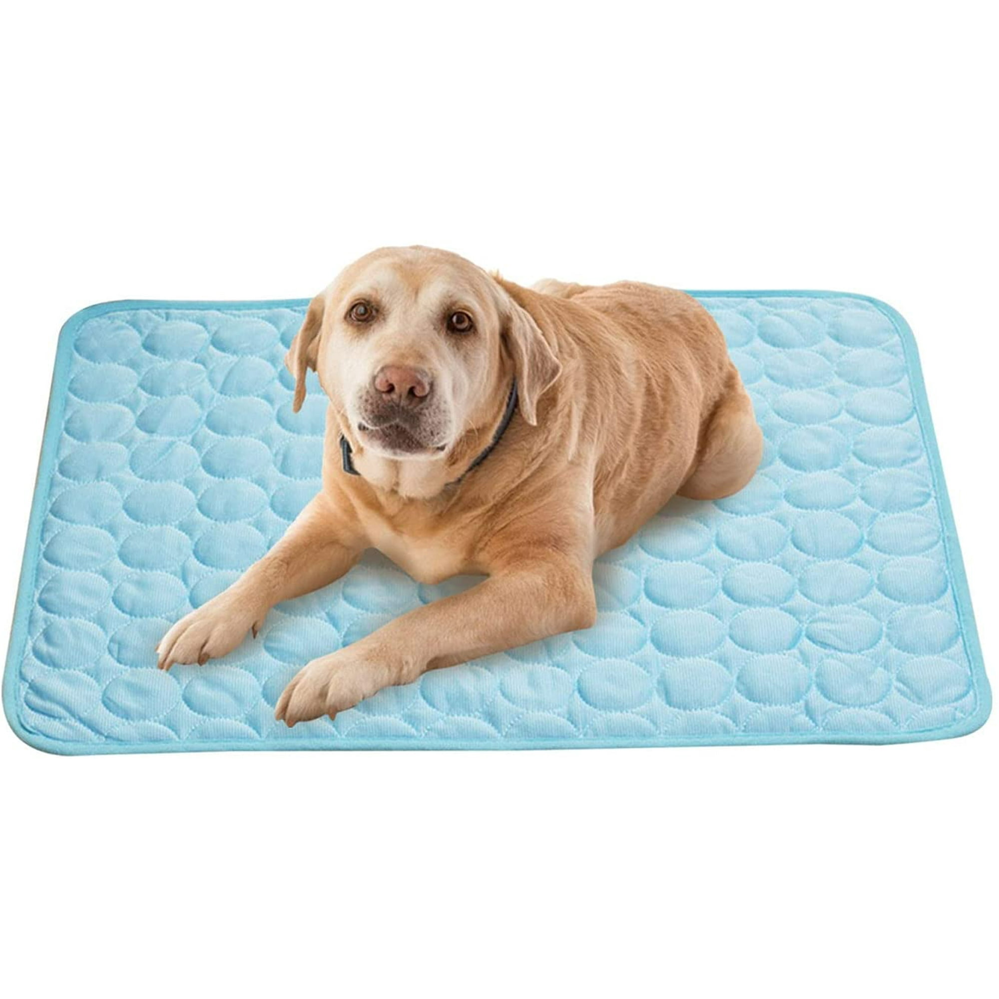 Gel pads for dogs sales