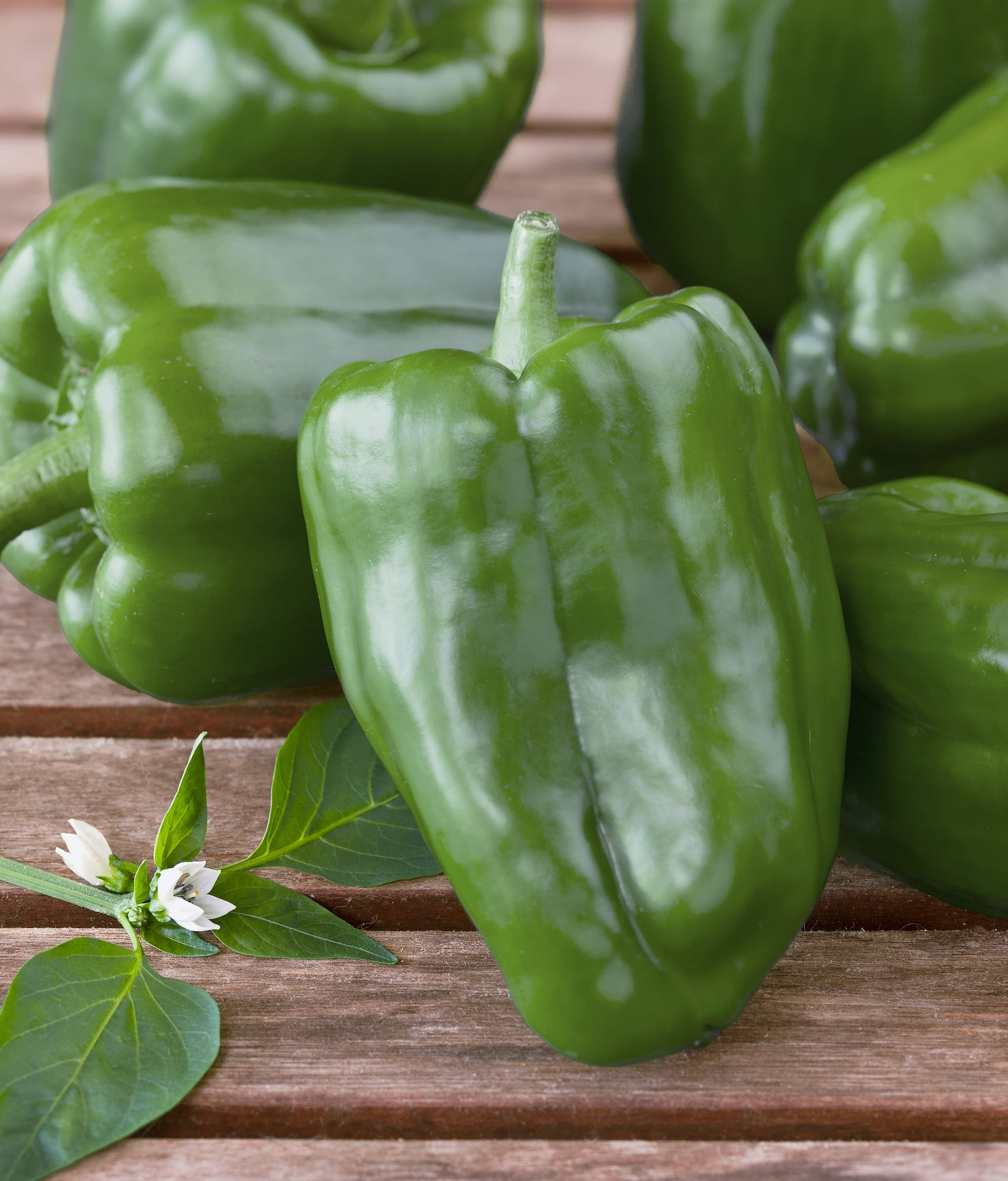 Bonnie Plants Green Sweet Bell Pepper 1.19 qt. Walmart