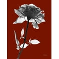 thumbnail image 2 of Koetsier, Albert 25x32 Black Ornate Wood Framed with Double Matting Museum Art Print Titled - Red Rose, 2 of 4