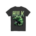 thumbnail image 5 of Marvel, Boys' & Big Boys' Graphic T-Shirt, Stone Hulk, Sizes 4-18, 5 of 5
