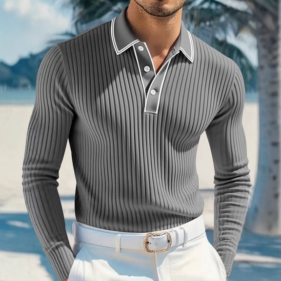 Zylanna Men's Long Sleeve Polo Shirts, Spring Fall Solid Slim Fit Turndown Collar Casual Pullover Tops for Man Gray