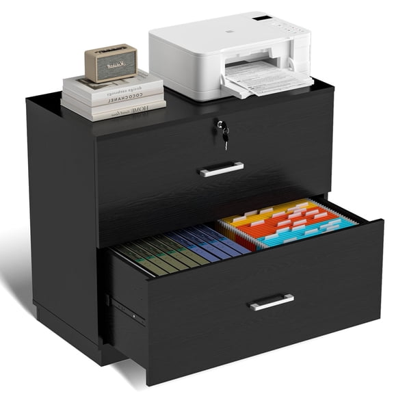 Ktaxon Wood 2 Drawer File Cabinet with Lock, Lateral Lockable Wood Filing Cabinet for Home Office, Printer Stand with Drawers, Fits Letter, Legal & A4 Files, Black