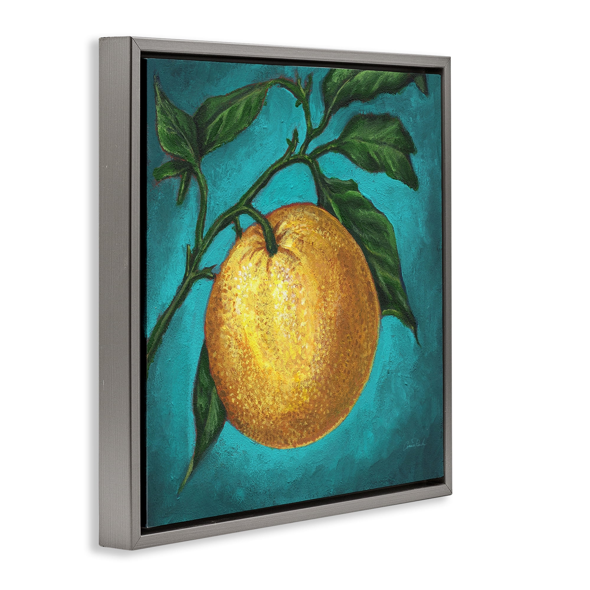 Stupell Industries Citrus Fruit on Branch Food & Beverage Painting Gray Floater Framed Canvas Art Print Wall Art, 25 x 25