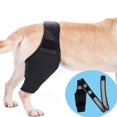 thumbnail image 3 of WBQ  Leg Brace for Dog Pet Injury Knee Brace Dog Back Leg Protector Elbow and Knee Pads Puppy Brace Paw Comfy Brace Puppy Leg Large Dog Recovery Kit, 3 of 7