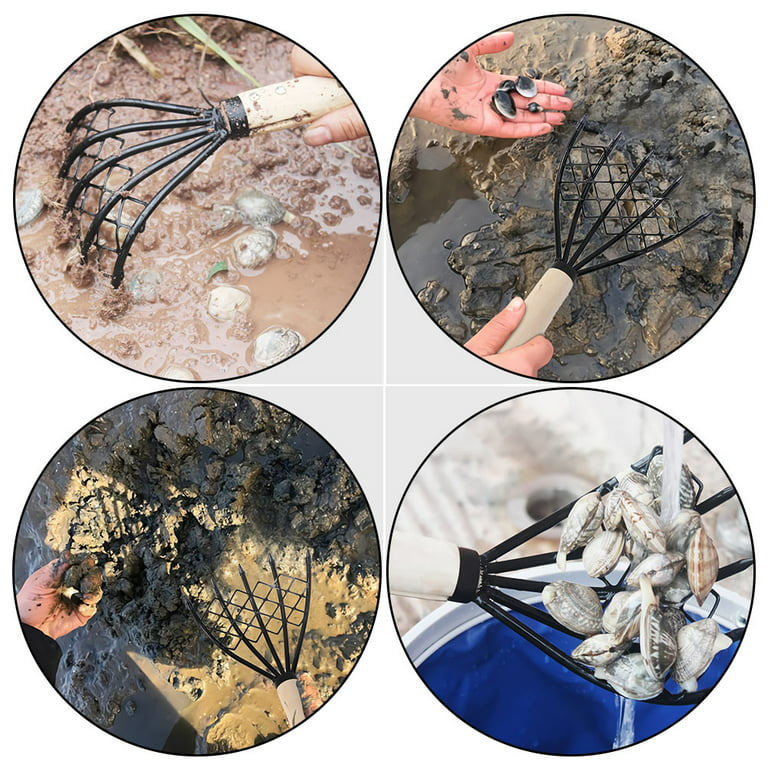 Rake Clam Claw Shell Seafood Clamming Digging Digger