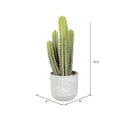 thumbnail image 2 of Vickerman FH181301 Aloe Vert de 39 Po dans un Pot en Béton, 2 of 2