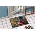 thumbnail image 2 of Carolines Treasures 7505MAT Tapis Intérieur Extérieur 18 x 27 Po. Chinese Crested, 2 of 4