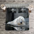 thumbnail image 3 of Ambesonne Bear Quilted Bedspread Set 3 Pcs, Sleeping Calm Zoo Animal, Queen Size, Cream Grey Black, 3 of 3