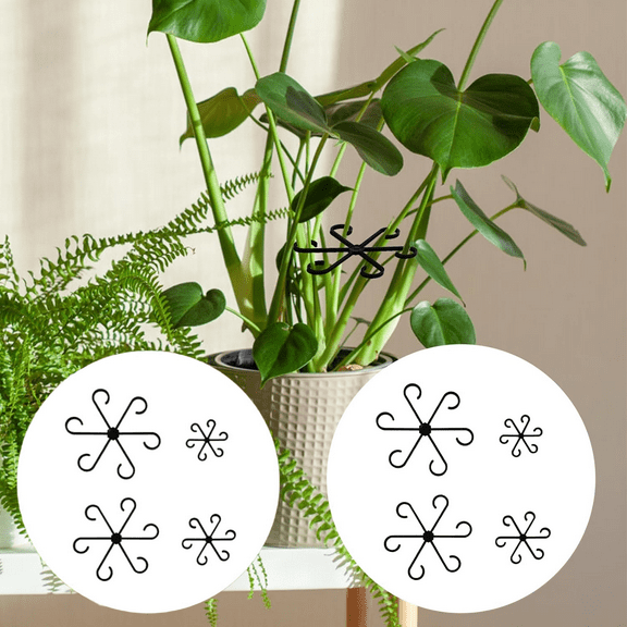 8pcs Black Plastic Plant Climbers Reusable Stem Supports for Houseplants