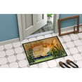 thumbnail image 2 of Carolines Treasures SS8161JMAT Pomeranian Doormat 24x36 36"L x 24"W multicolor, 2 of 4