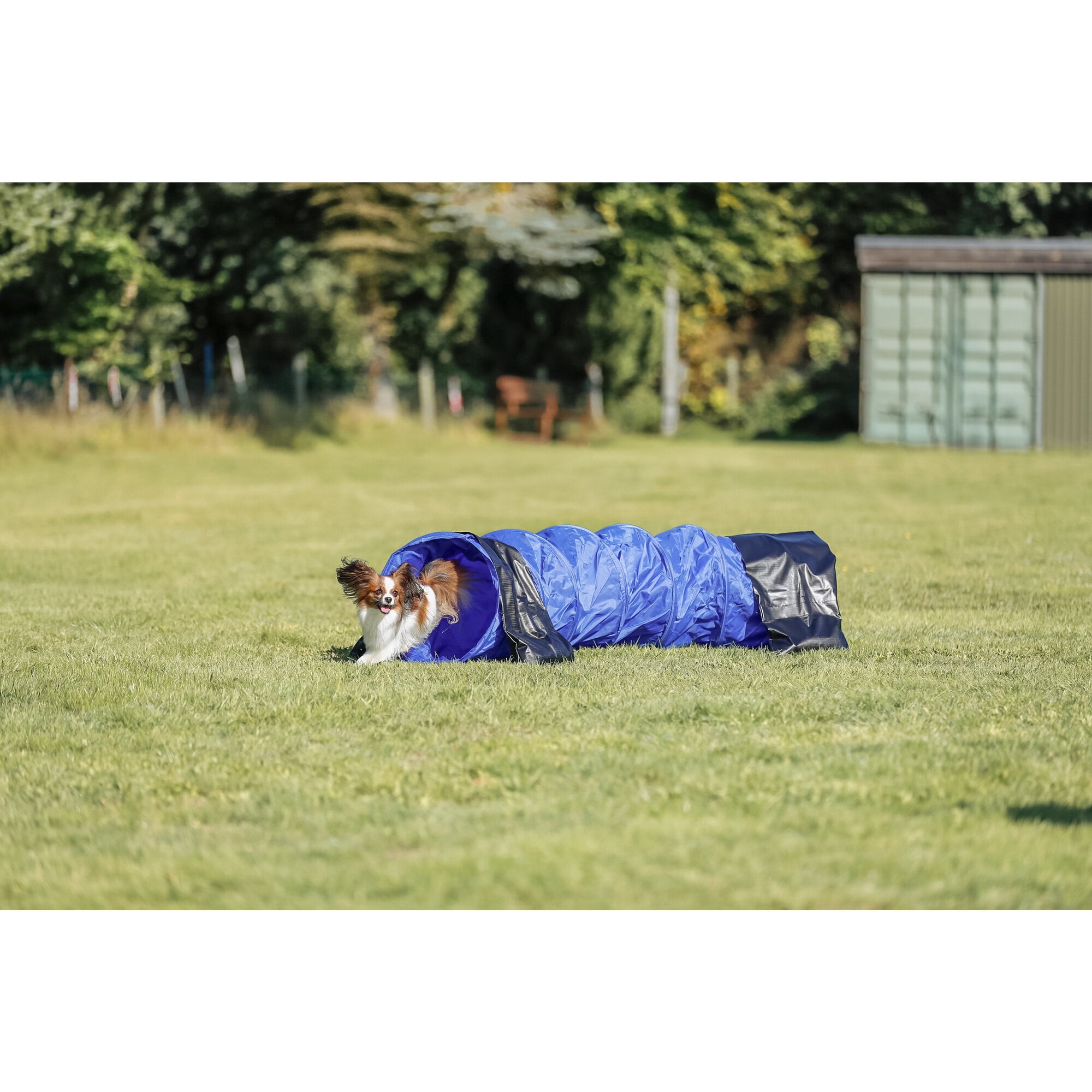 TRIXIE Dog Agility Tunnel 6.5', Portable Dog Training Tunnel, Obedience, Exercise Equipment