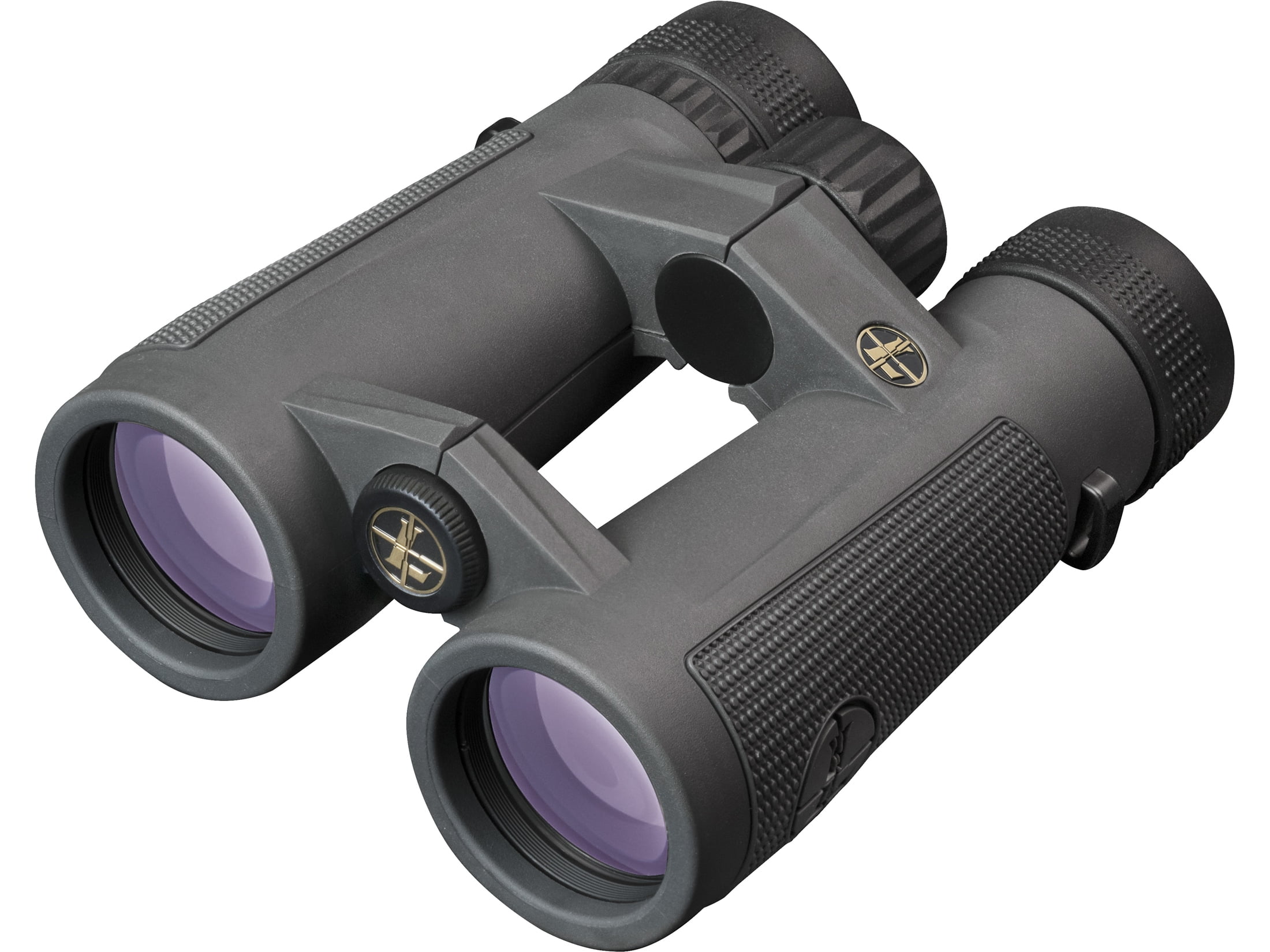 Leupold BX-5 Santiam HD Binocular 10x42mm, Shadow Gray