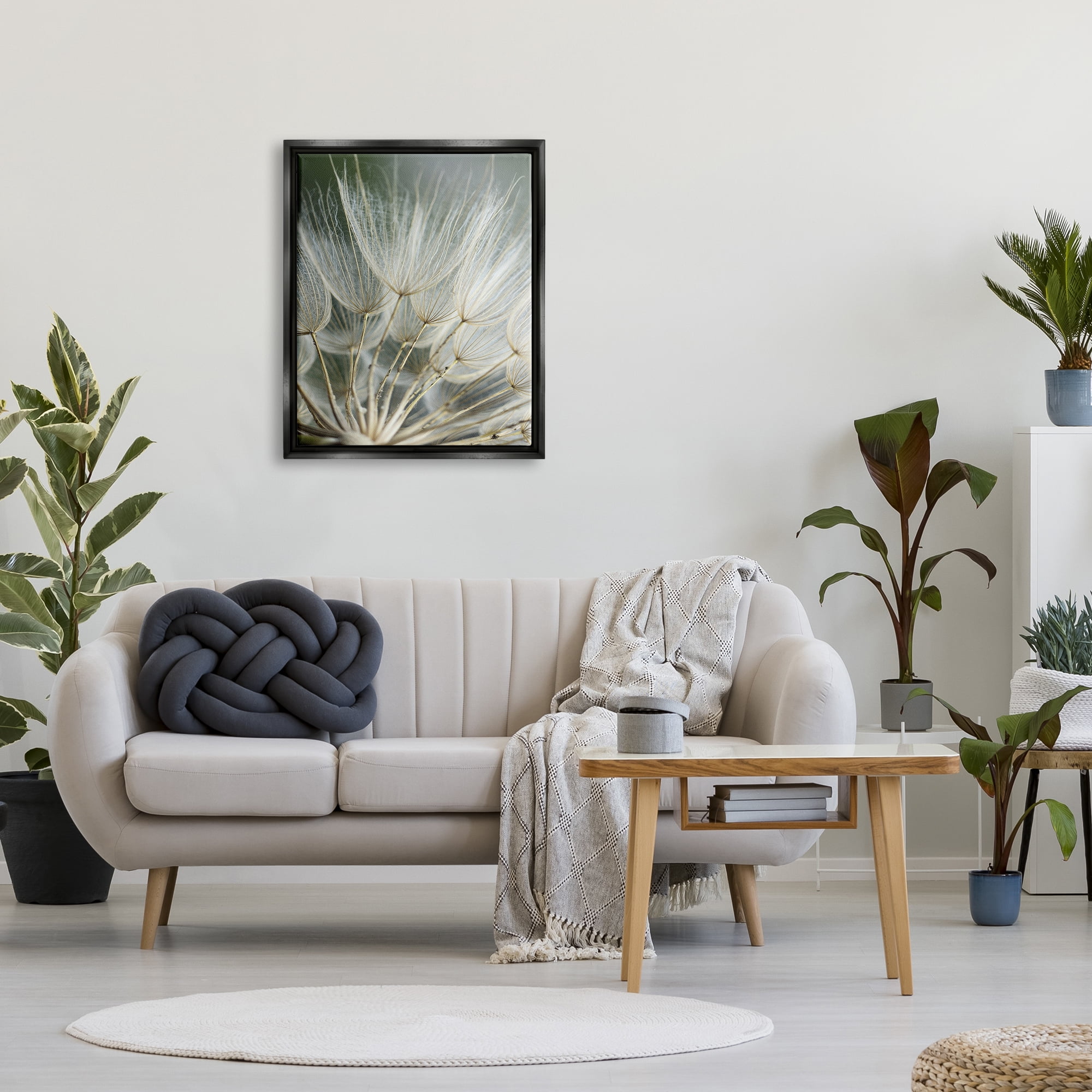 Stupell Industries Soft Dandelion Photography Botanical & Floral Photography Black Floater Framed Canvas Art Print Wall Art, 25 x 31