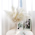 thumbnail image 1 of Fiudx Liquidación De Decoración Del Hogar Accesorios De Fotografía Para Decoración Del Hogar, Ramo De Flores Secas, Arreglo De Madera Para Sala De Estar, Estilo Bohemio Liquidación De Ofertas Flash, 1 of 6