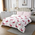 thumbnail image 2 of Erosebridal Pink Flamingo Bedspread Women Flamingo Decor Quilt Set Cute Animal Flamingo Coverlet Set Pink Polka Dots Print Bed Set for Teens Romantic Theme Bedding 2 Pcs Twin Size, 2 of 2