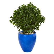 Nearly Natural 32in. Peperomia Artificial Plant in Blue Planter UV Resistant (Indoor/Outdoor)