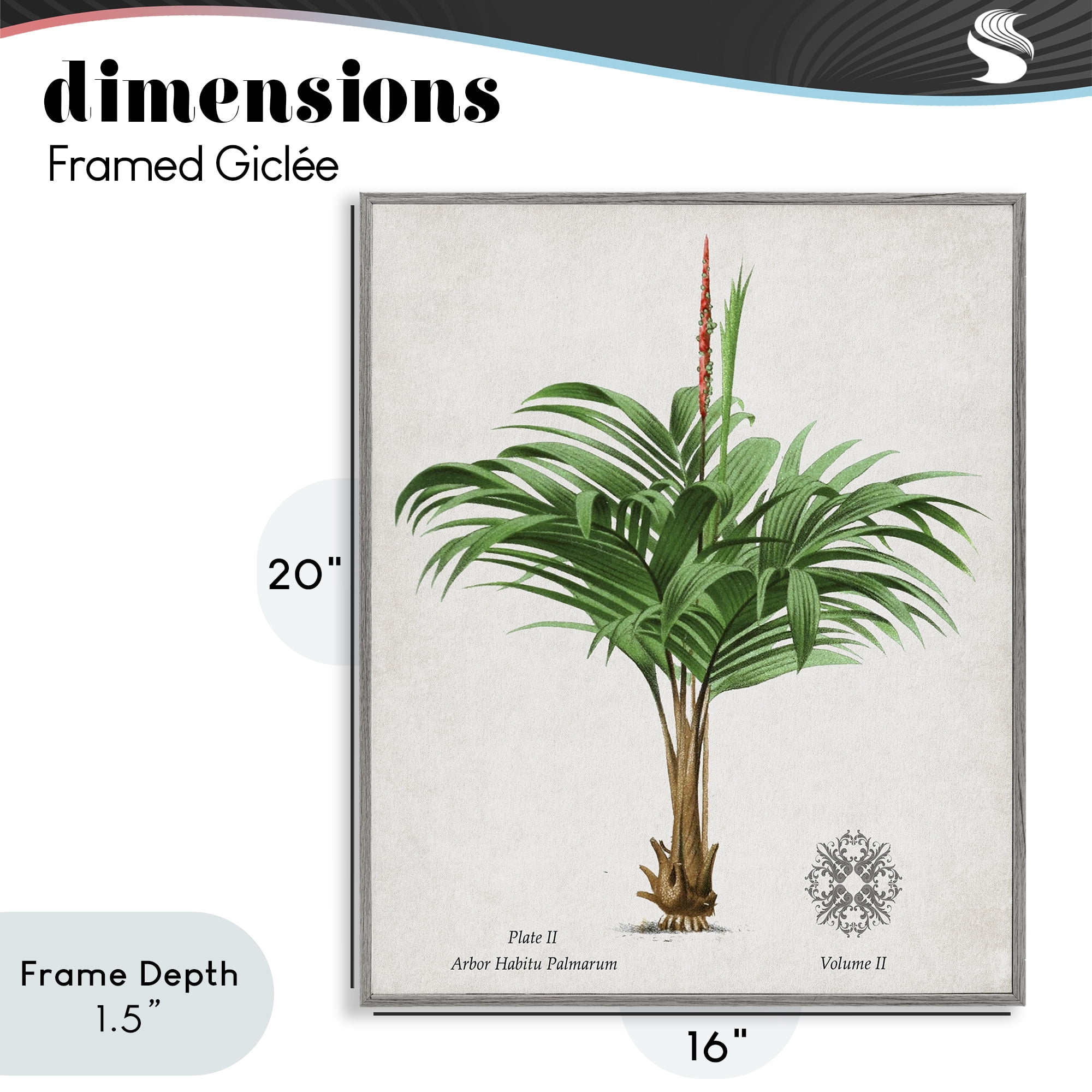 Stupell Industries Natural Palm Variety Study Gray Framed Giclee Art, design by Val Rhodes