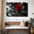 thumbnail image 3 of Elephant Stock Lone Rose Pop Wall Art - Horizontal Canvas Wall Art - Living Room Wall Decor - Floral And Botanical Canvas - Black And Gray Decor - 51" x 34", 3 of 8