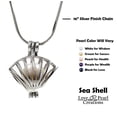 thumbnail image 3 of Shell Sea Life Love Pearl Creations DIY Kit Cultured Necklace Set with Stainless Steel Chain 16", 3 of 5