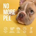 thumbnail image 2 of Orina antigatos y perros en aerosol Petdly, 500 ml, no deja marcas, 2 of 7