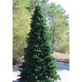 thumbnail image 3 of Northlight Commercial Pre-Lit Olympia Pine Artificial Tower Christmas Tree - 24' -  Warm White LED, 3 of 5