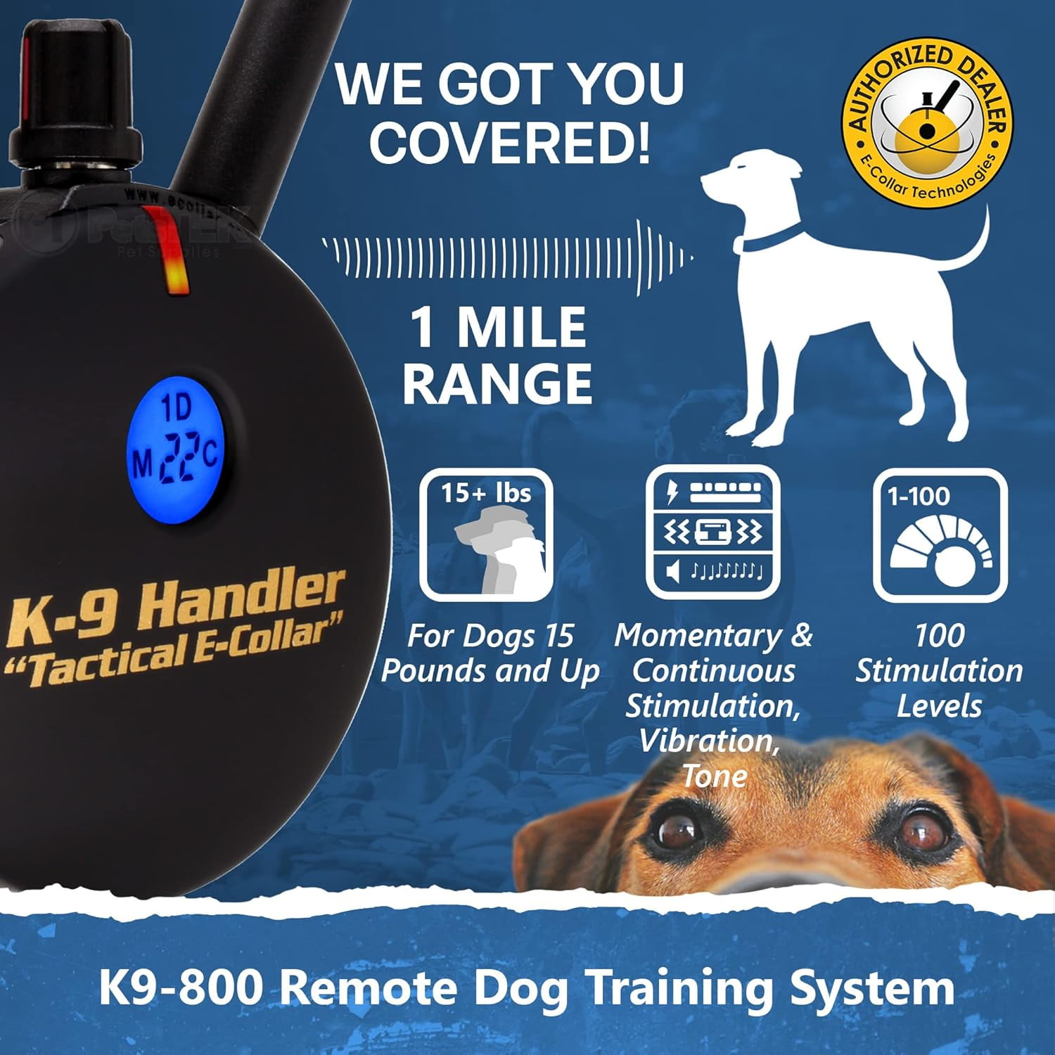 E-Collar K9-800 K9 Handler Professional E-Collar Dog Training Collar with Remote - Up to 1 Mile Range, Waterproof, Rechargeable, 100 Stimulation Levels, Vibration, Tone