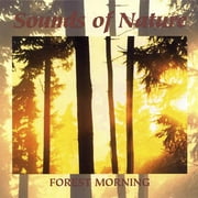 Forest Morning...........