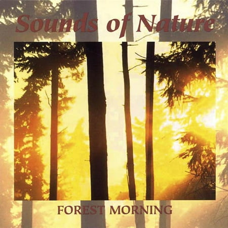 Forest Morning...........