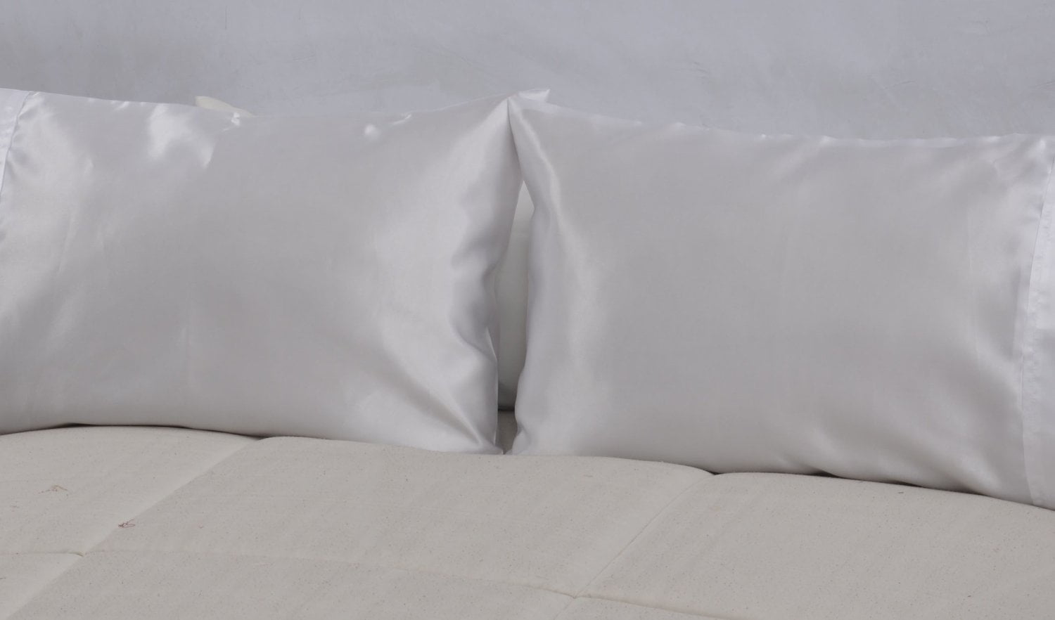 OctoRose Set of 2 Zipper Enclosure Super Strong and Durable Pillow Case / Protector / Cover